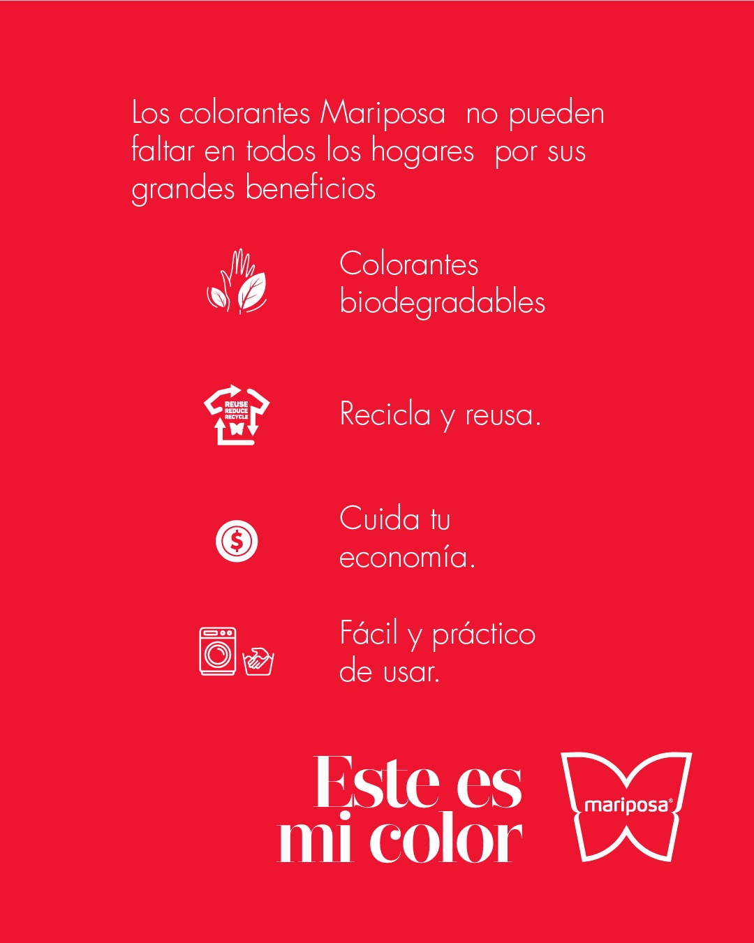 Colorantes Mariposa · Comunicación digital y contenido · imagen 11