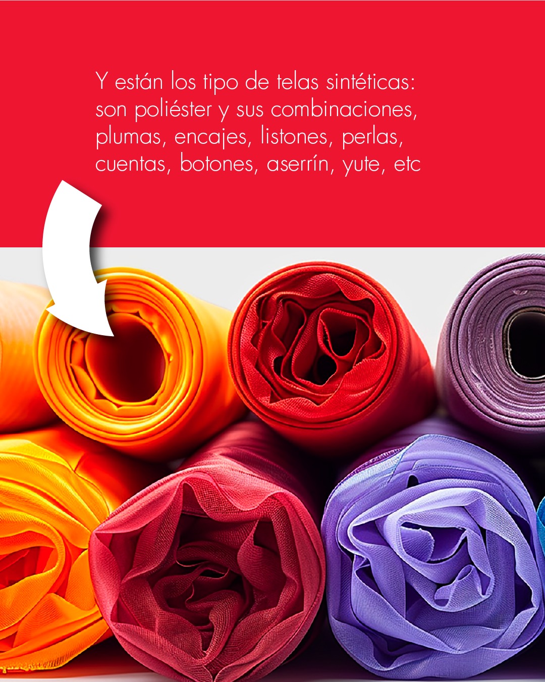 Colorantes Mariposa · Comunicación digital y contenido · imagen 14