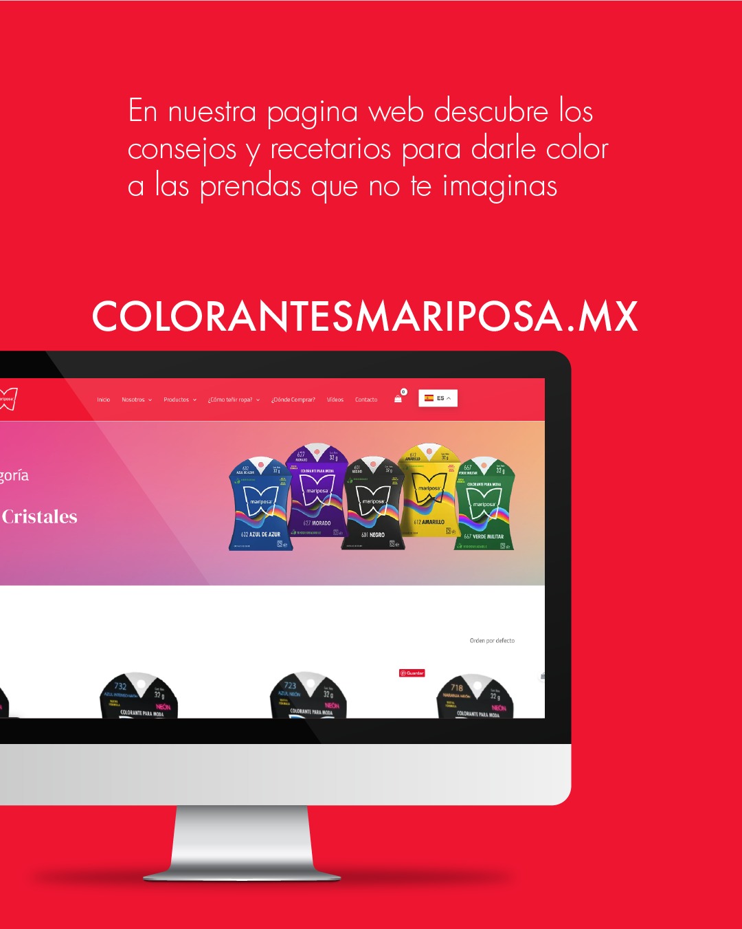 Colorantes Mariposa · Comunicación digital y contenido · imagen 15