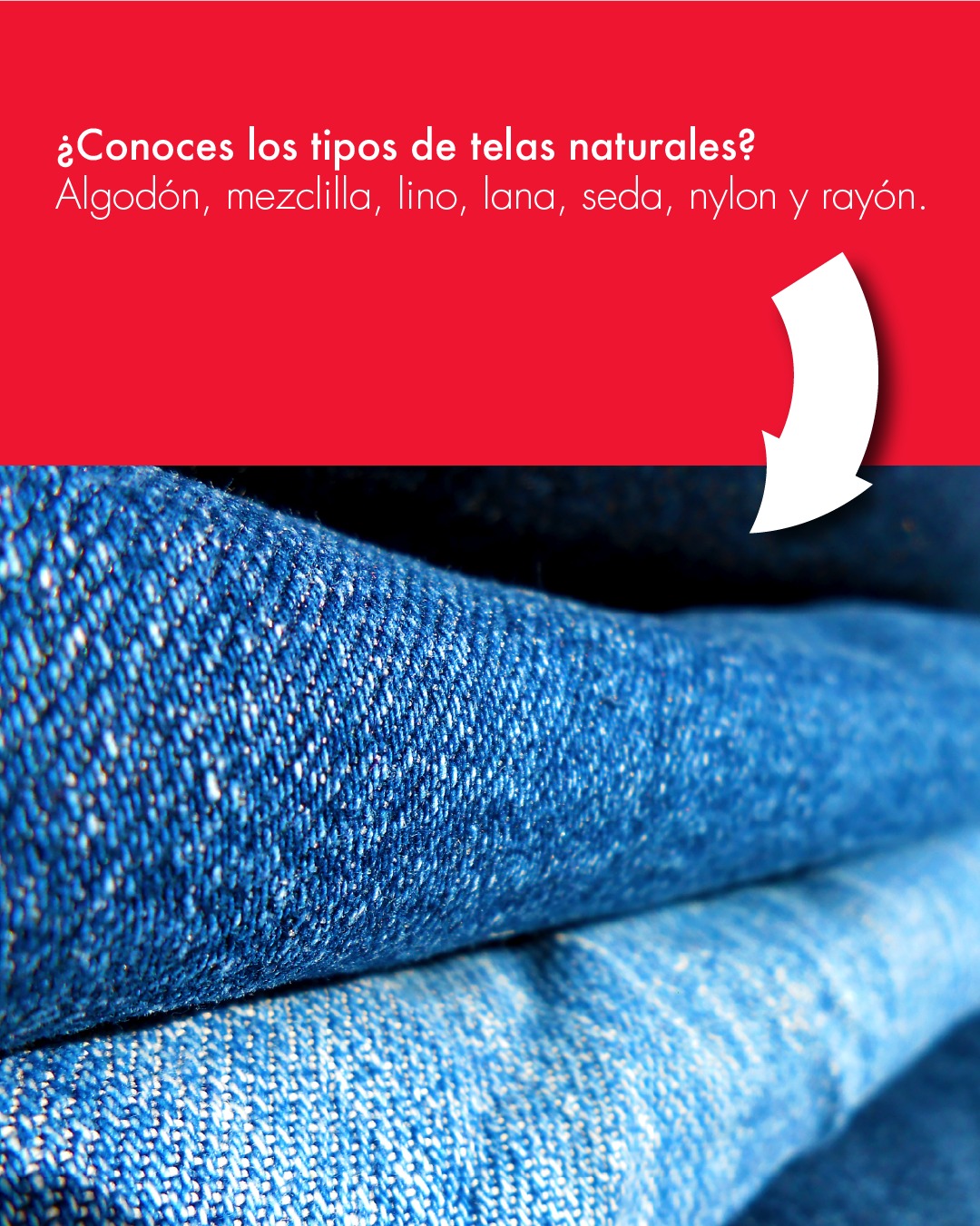 Colorantes Mariposa · Comunicación digital y contenido · imagen 16