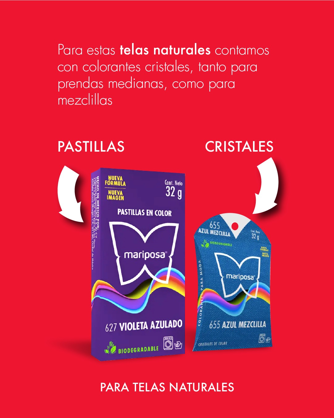 Colorantes Mariposa · Comunicación digital y contenido · imagen 18