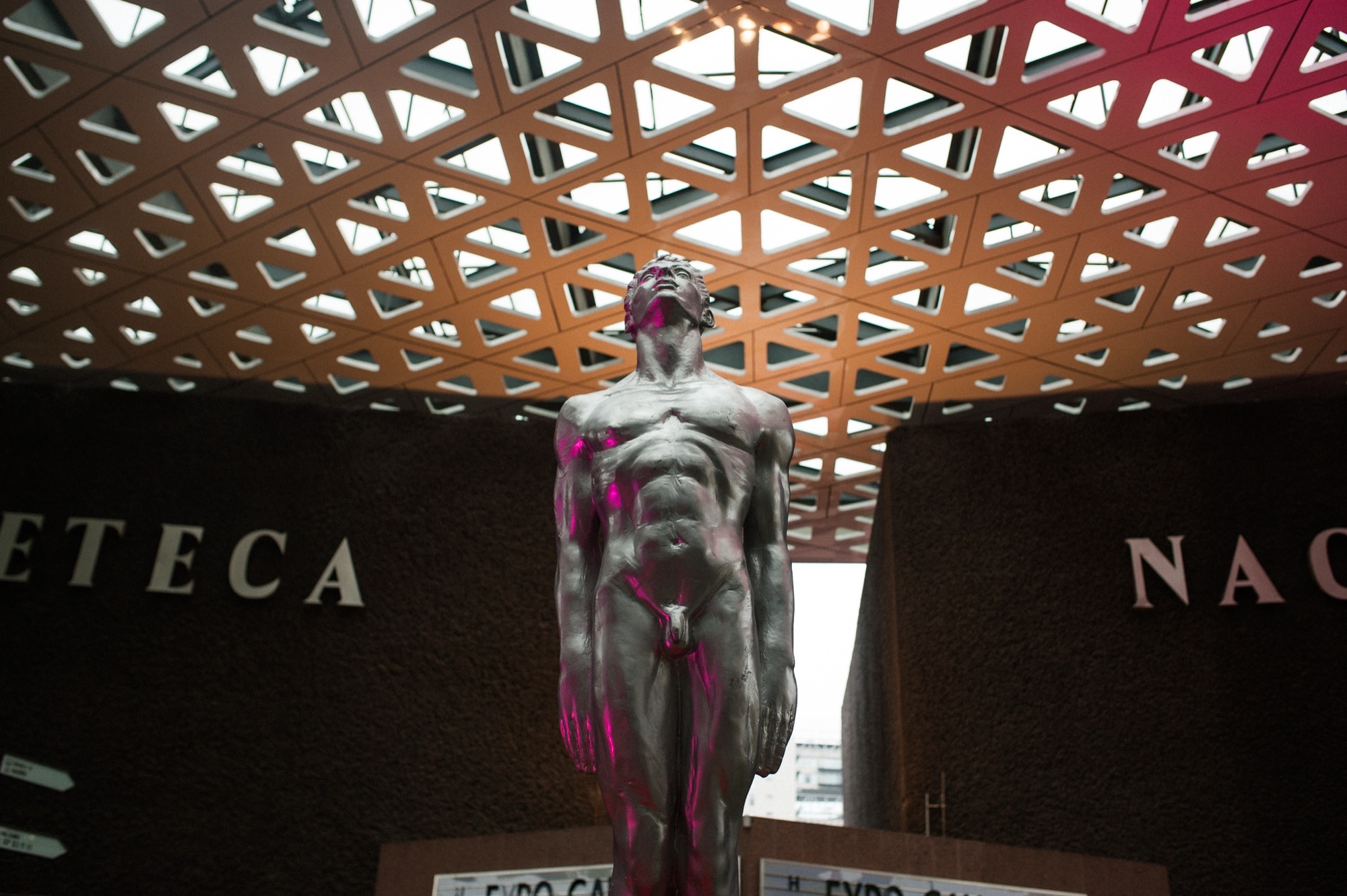 Premios Ariel · Materiales para Premios Ariel · imagen 9